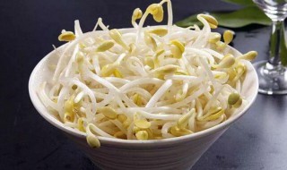 广东黄豆芽的做法做法做法和配方 黄豆芽的吃法和做法大全集