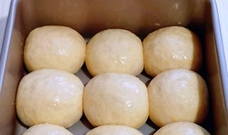 营养低卡的餐包全麦蜜豆小餐包的做法 全麦豆沙面包的做法窍门